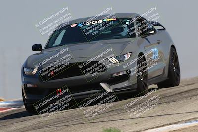 media/Jul-26-2025-Speed Ventures (Sat) [[fe569e6cf0]]/Green Group/Grapevine/